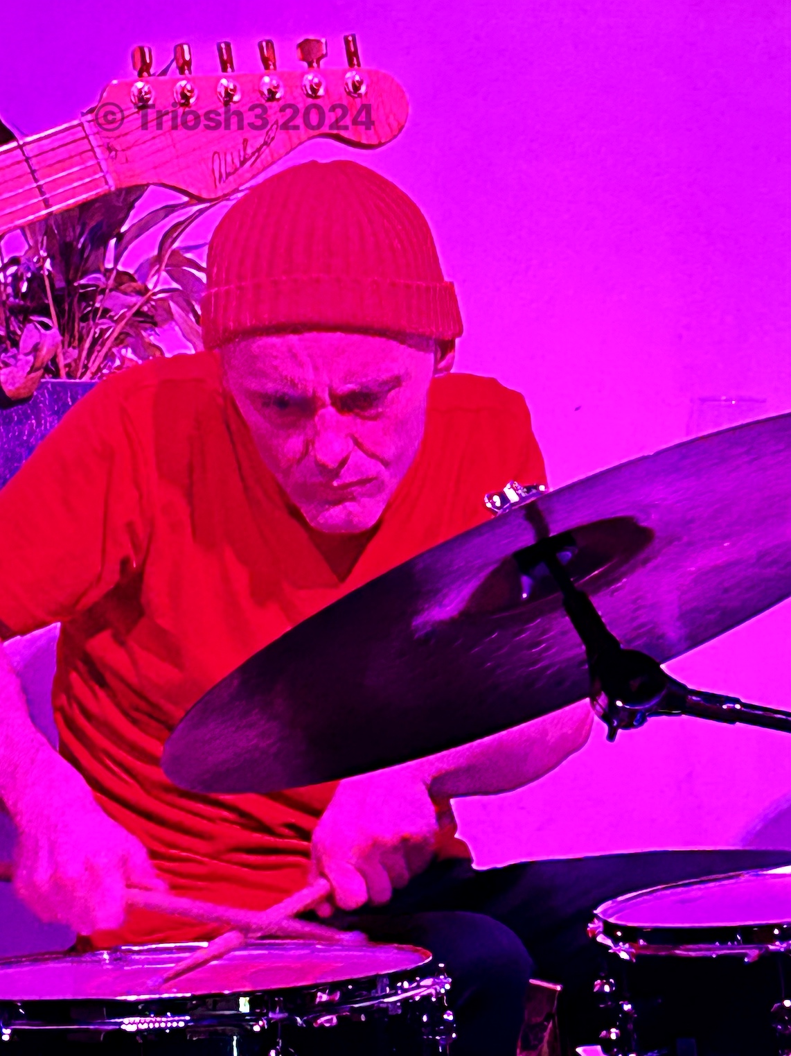 Bazmatronics immersed